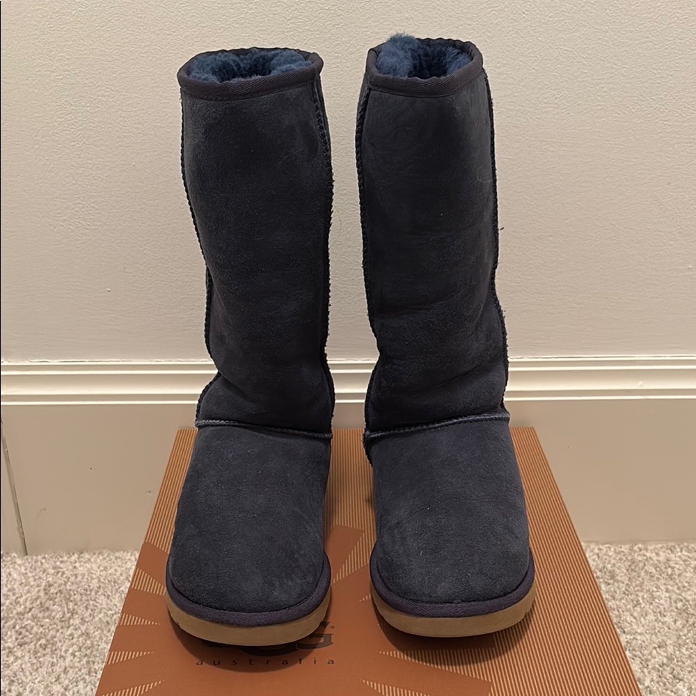 UGG SUEDE CHESTNUT WINTER BOOTS 5803
